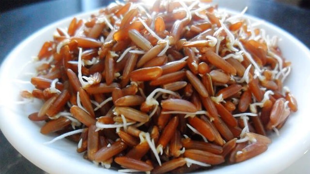 Các thực phẩm nảy mầm đừng vội vứt đi, đem làm món ăn lại cực tốt cho tiêu hóa và giúp hạ đường huyết- Ảnh 4. Các thực phẩm nảy mầm đừng vội vứt đi, đem làm món ăn lại cực tốt cho tiêu hóa và giúp hạ đường huyết- Ảnh 4.