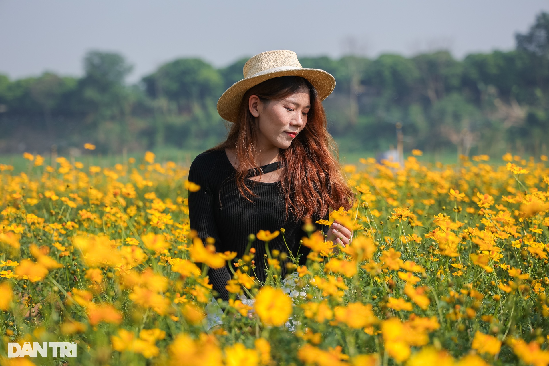 Dậy từ 3h, vượt 30km chụp ảnh sống ảo ở vườn hoa cúc chân cầu Long Biên - 5 Dậy từ 3h, vượt 30km chụp ảnh sống ảo ở vườn hoa cúc chân cầu Long Biên - 5