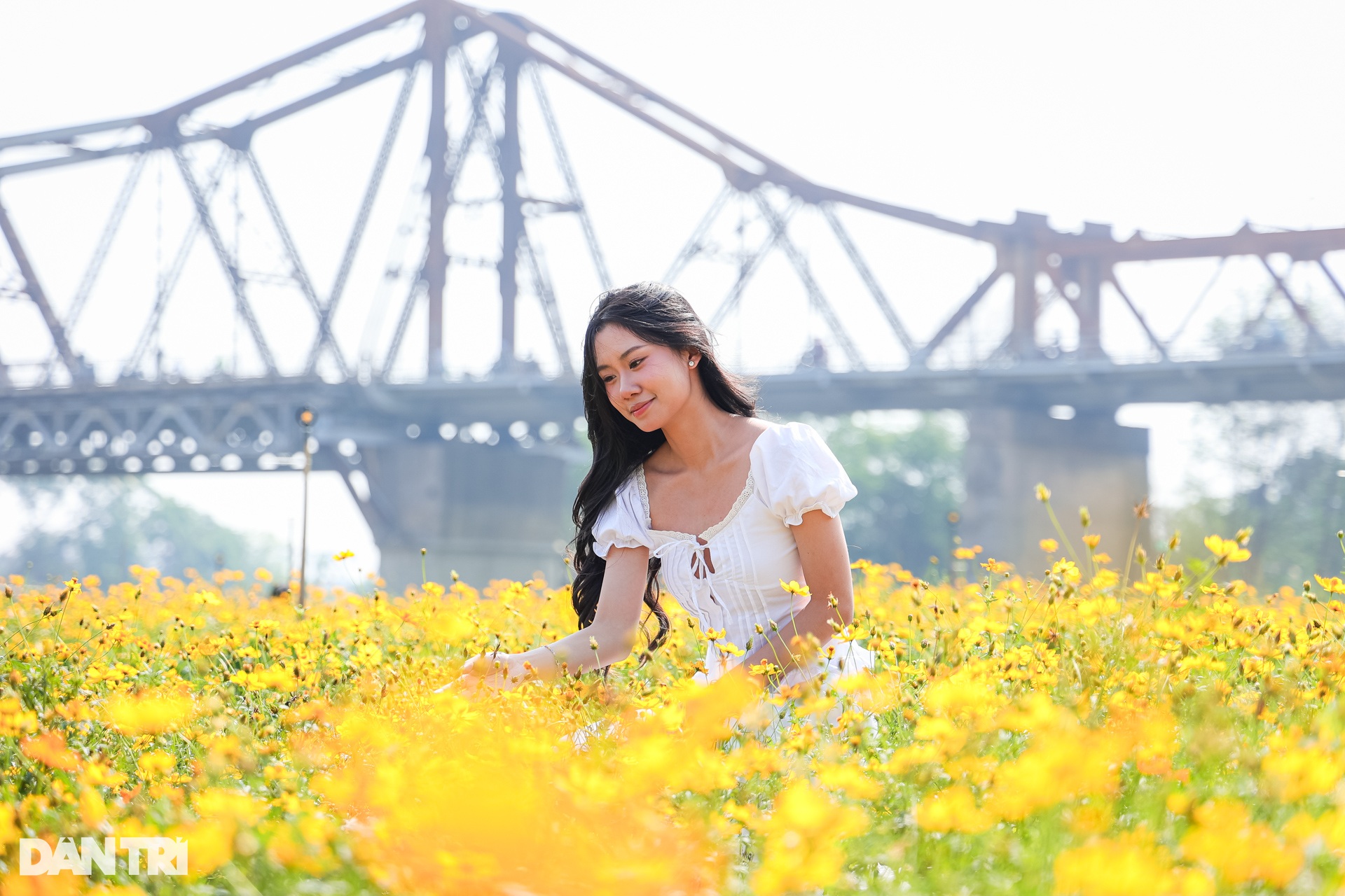 Dậy từ 3h, vượt 30km chụp ảnh sống ảo ở vườn hoa cúc chân cầu Long Biên - 2 Dậy từ 3h, vượt 30km chụp ảnh sống ảo ở vườn hoa cúc chân cầu Long Biên - 2