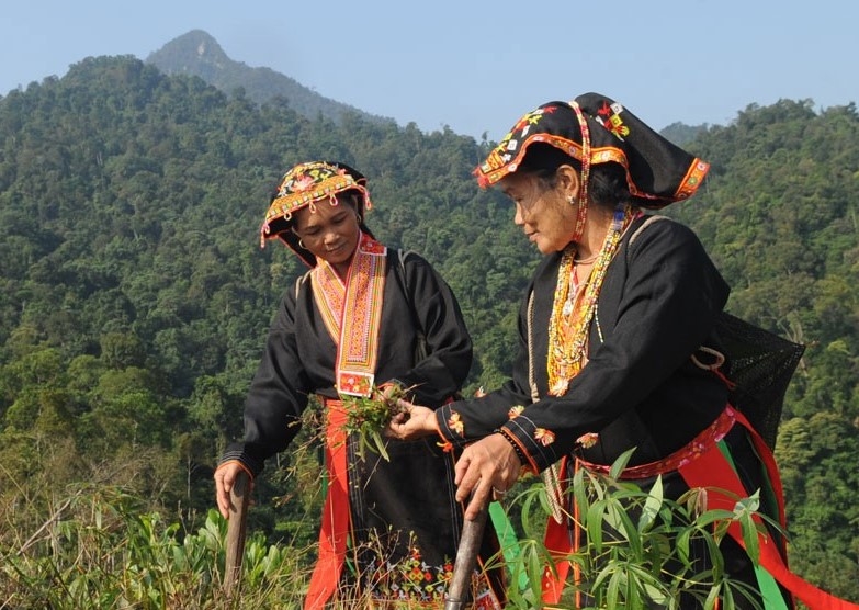 Đồng bào DTTS tỉnh Bắc Giang phát triển cây dược liệu (Ảnh minh họa). Đồng bào DTTS tỉnh Bắc Giang phát triển cây dược liệu (Ảnh minh họa).