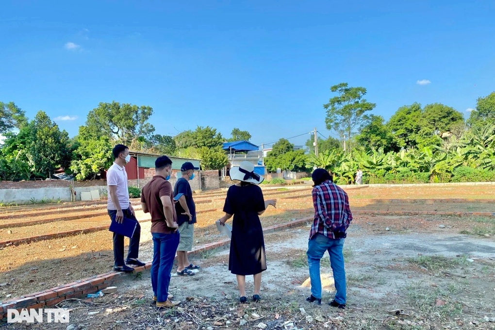 Chuyên gia tiết lộ thời điểm thị trường bất động sản khởi sắc - 1 Chuyên gia tiết lộ thời điểm thị trường bất động sản khởi sắc - 1