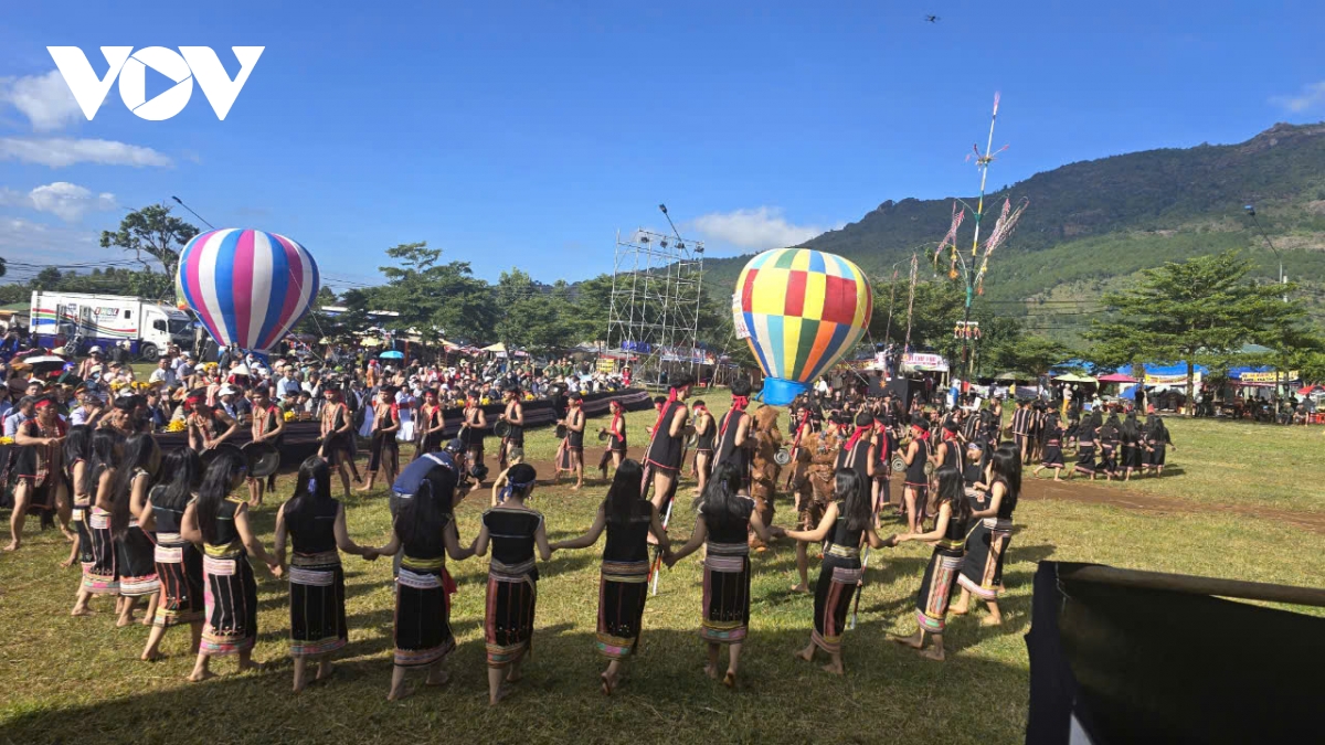 khai mạc tuần lễ hoa dã quỳ - núi lửa chư Đang ya năm 2024 hình ảnh 1 khai mac tuan le hoa da quy - nui lua chu Dang ya nam 2024 hinh anh 1