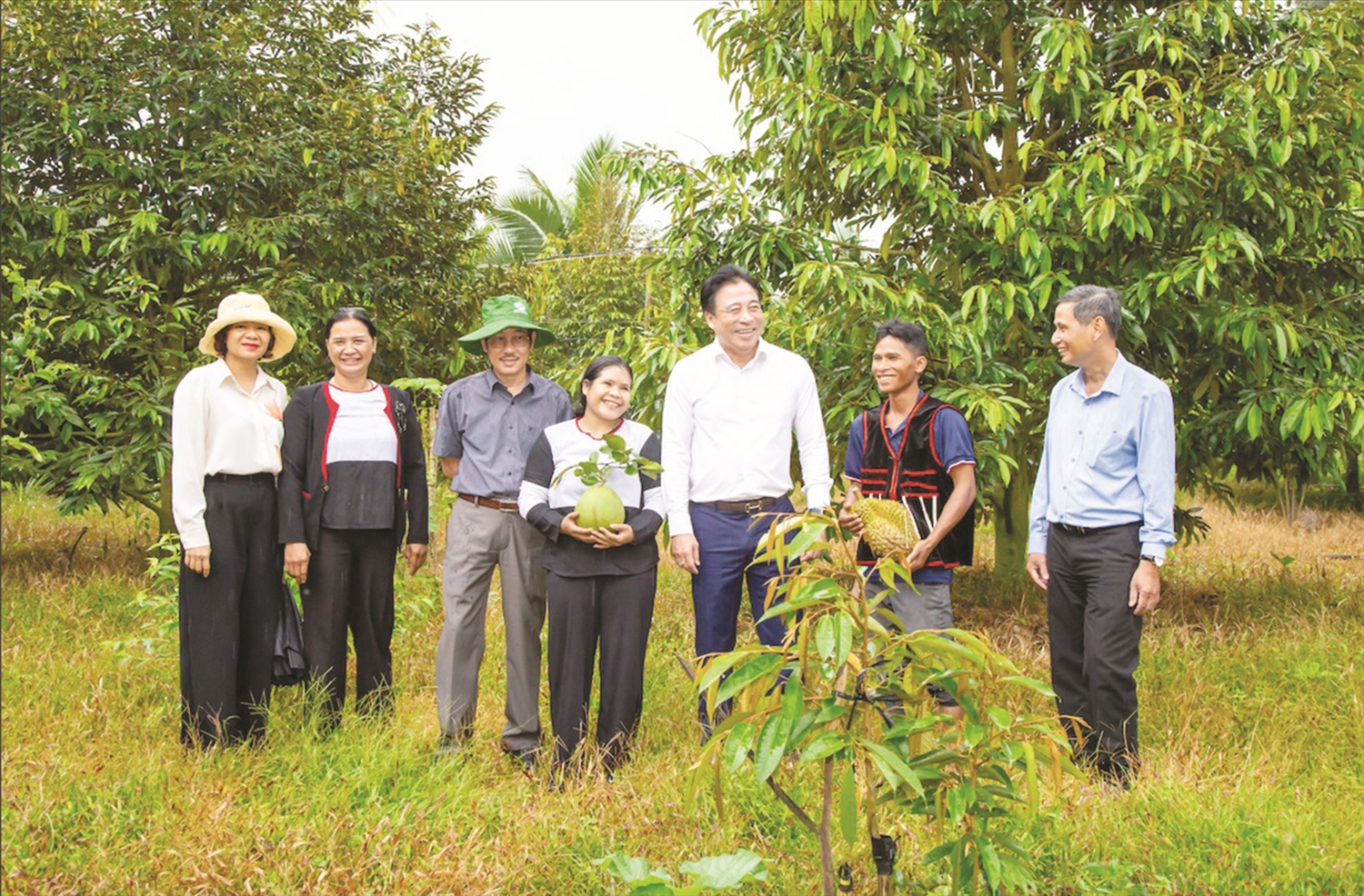 Ở huyện Khánh Sơn, hiện có nhiều hộ nông dân làm giàu từ cây sầu riêng. Ở huyện Khánh Sơn, hiện có nhiều hộ nông dân làm giàu từ cây sầu riêng.