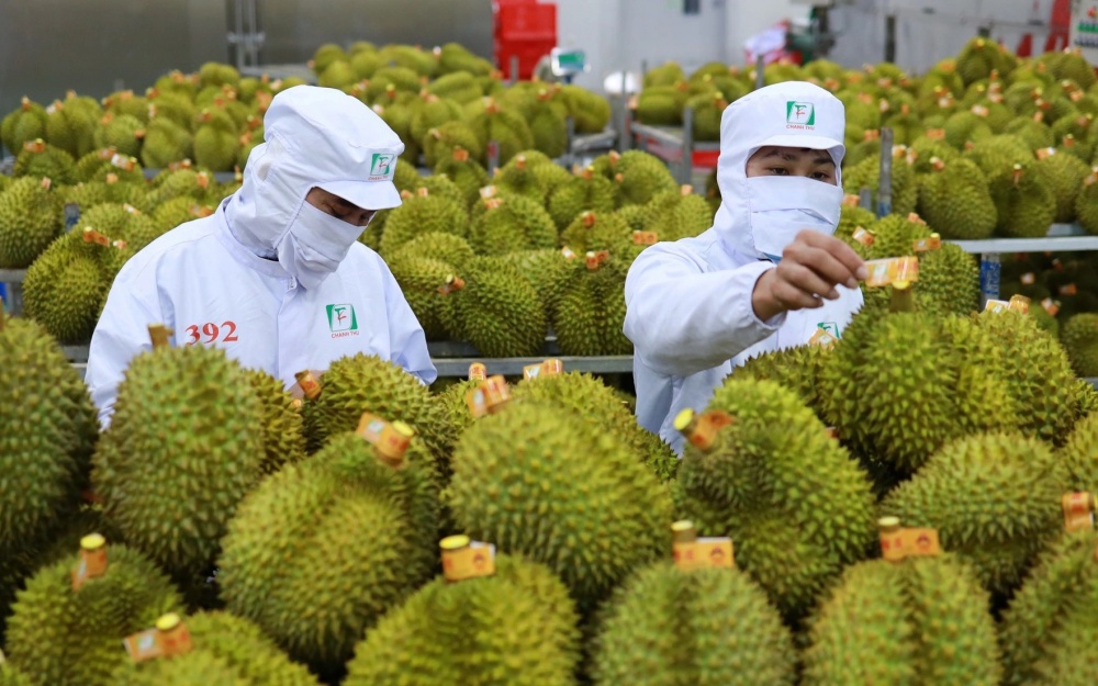 Thặng dư xuất nhập khẩu nông sản đạt 15,21 tỷ USD