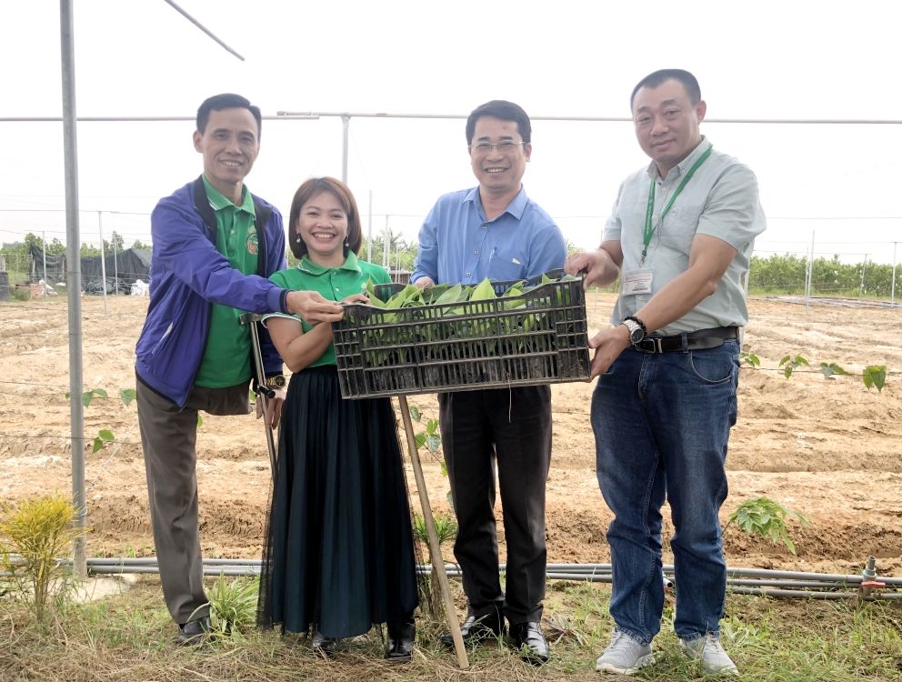 Tháo gỡ "điểm nghẽn" trong tiếp cận vốn tín dụng của hợp tác xã do nữ quản lý- Ảnh 1. Tháo gỡ "điểm nghẽn" trong tiếp cận vốn tín dụng của hợp tác xã do nữ quản lý- Ảnh 1.