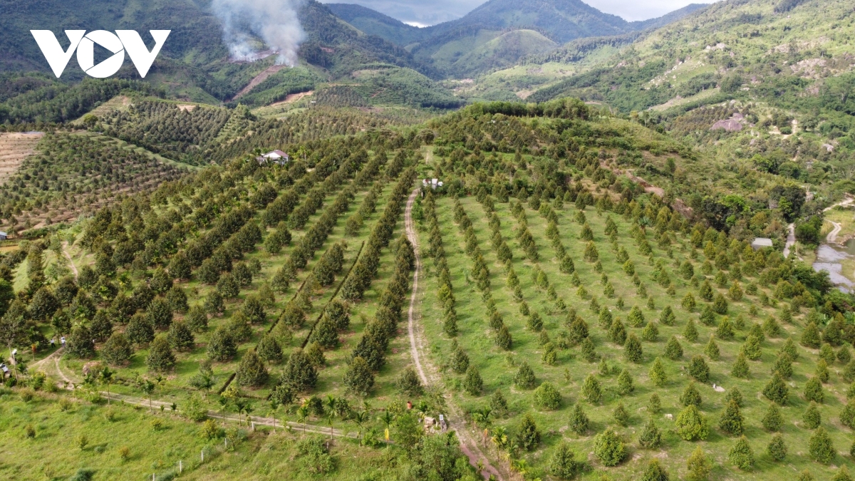 thu hút đầu tư vào miền núi khánh hòa hình ảnh 1 thu hut dau tu vao mien nui khanh hoa hinh anh 1