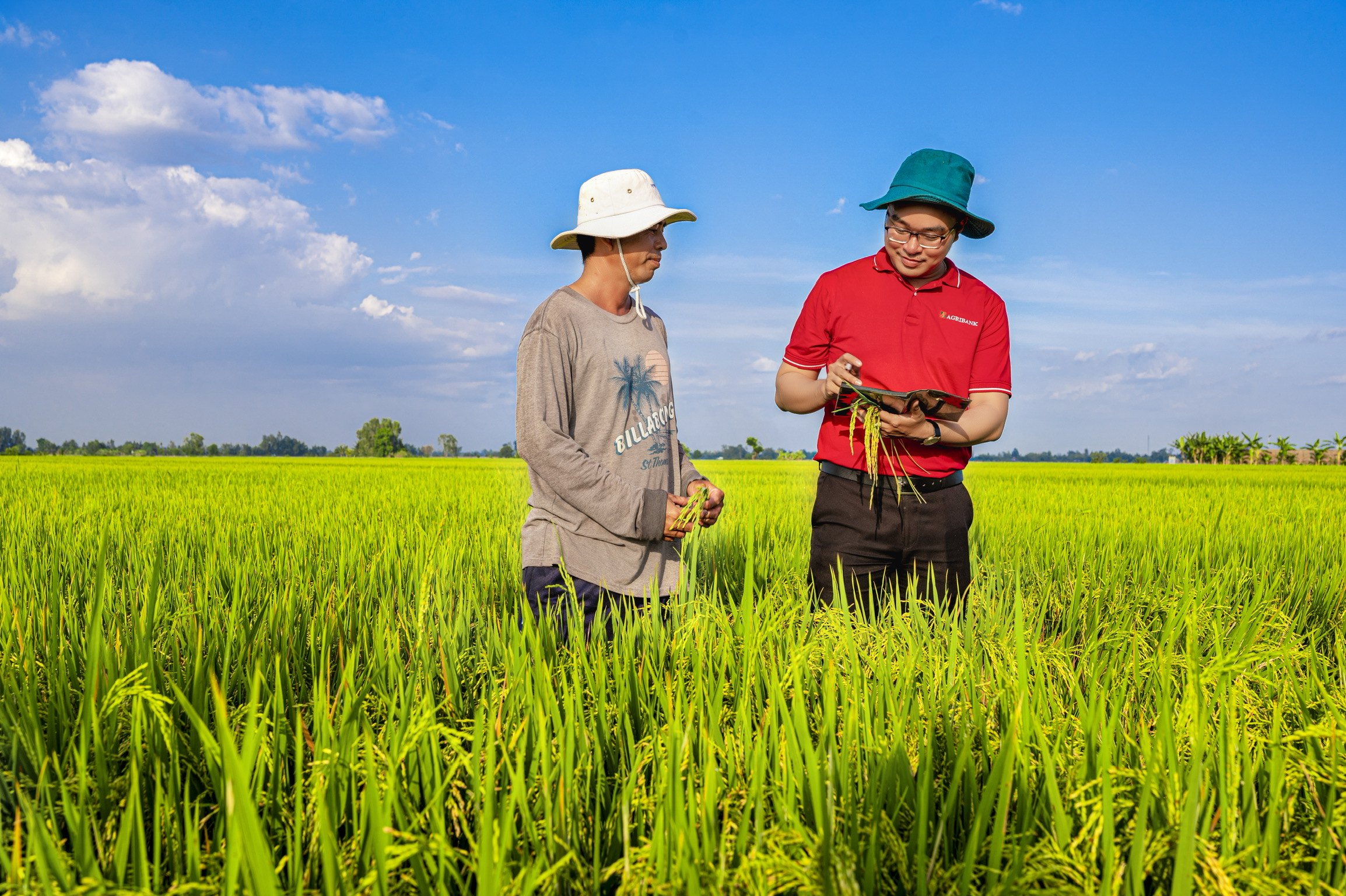 Tín dụng xanh - động lực cho phát triển bền vững: Xây dựng