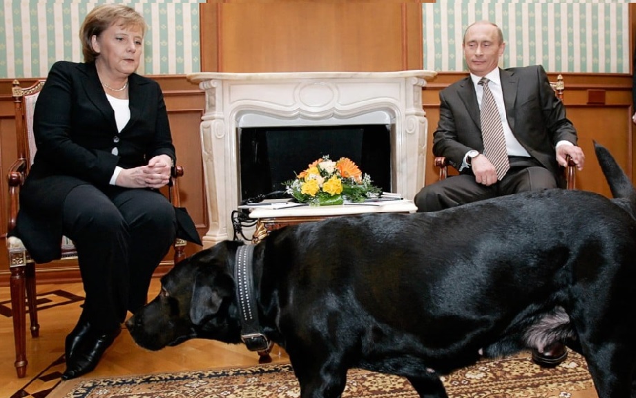 Tổng thống Putin công khai xin lỗi cựu Thủ tướng Đức Merkel vụ con chó- Ảnh 1. Tổng thống Putin công khai xin lỗi cựu Thủ tướng Đức Merkel vụ con chó- Ảnh 1.