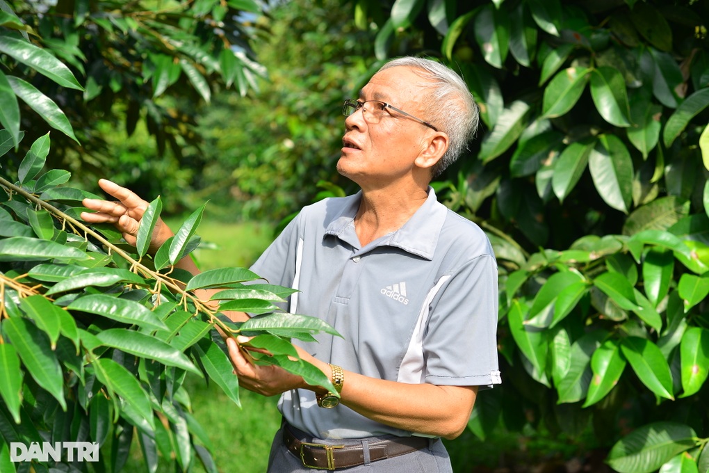 Trồng cây tỷ đô, cụ ông 75 tuổi có thu nhập khiến người trẻ nể phục - 1 Trồng cây tỷ đô, cụ ông 75 tuổi có thu nhập khiến người trẻ nể phục - 1