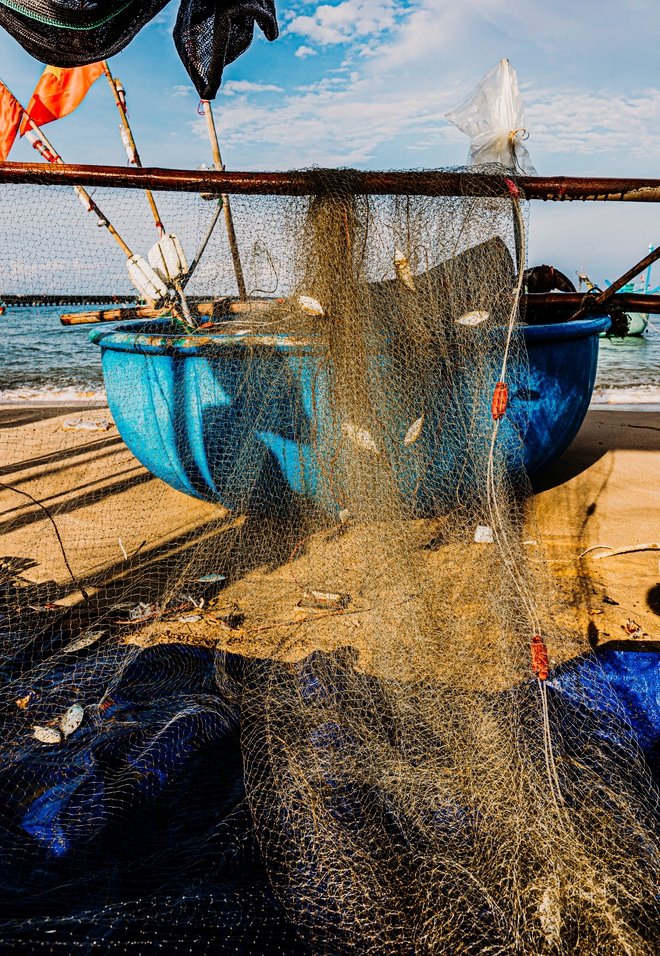 Khung cảnh làng chài nhộn nhịp mùa đặc sản của Phú Quốc- Ảnh 10. Khung cảnh làng chài nhộn nhịp mùa đặc sản của Phú Quốc- Ảnh 10.