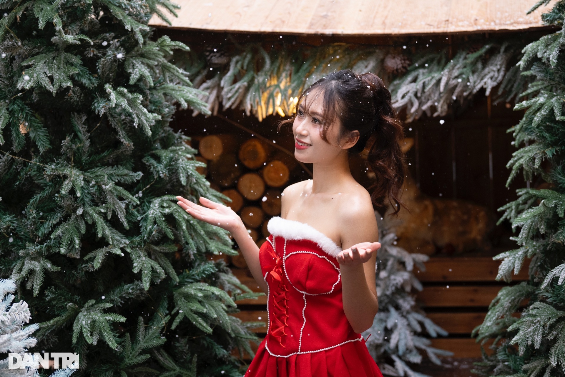Quán cà phê ở Hà Nội chi 250 triệu trang trí Noel phục vụ khách sống ảo - 2 Quán cà phê ở Hà Nội chi 250 triệu trang trí Noel phục vụ khách sống ảo - 2