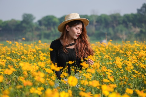 Dậy từ 3h, vượt 30km chụp ảnh "sống ảo" ở vườn hoa cúc chân cầu Long Biên - 5 Dậy từ 3h, vượt 30km chụp ảnh "sống ảo" ở vườn hoa cúc chân cầu Long Biên - 5