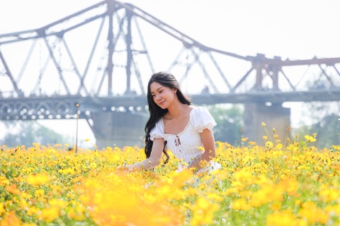 Dậy từ 3h, vượt 30km chụp ảnh "sống ảo" ở vườn hoa cúc chân cầu Long Biên - 2 Dậy từ 3h, vượt 30km chụp ảnh "sống ảo" ở vườn hoa cúc chân cầu Long Biên - 2