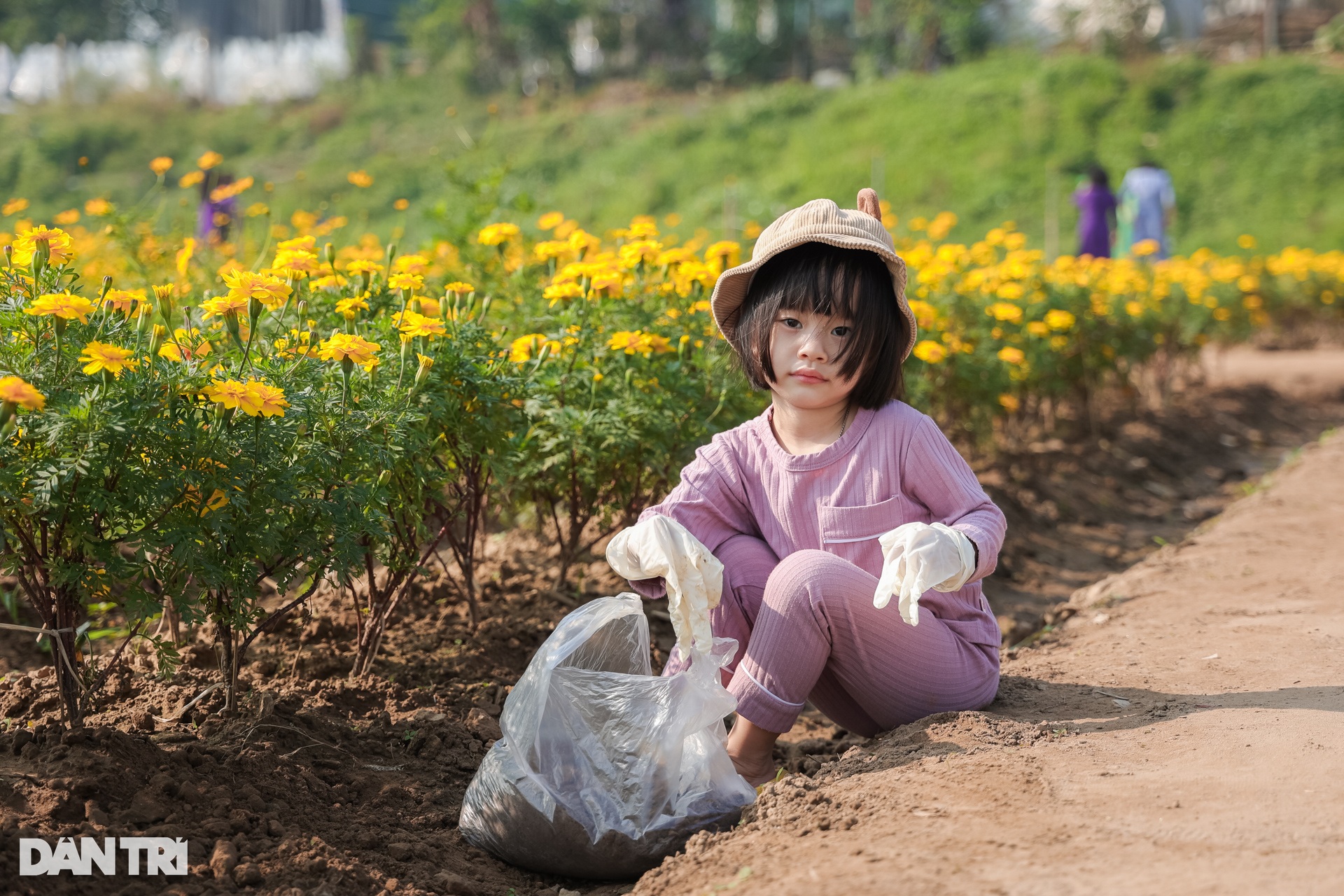 Dậy từ 3h, vượt 30km chụp ảnh sống ảo ở vườn hoa cúc chân cầu Long Biên - 10 Dậy từ 3h, vượt 30km chụp ảnh sống ảo ở vườn hoa cúc chân cầu Long Biên - 10