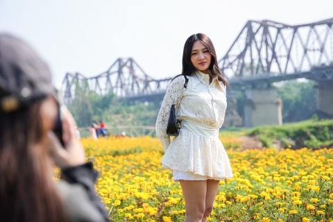 Dậy từ 3h, vượt 30km chụp ảnh "sống ảo" ở vườn hoa cúc chân cầu Long Biên - 6 Dậy từ 3h, vượt 30km chụp ảnh "sống ảo" ở vườn hoa cúc chân cầu Long Biên - 6