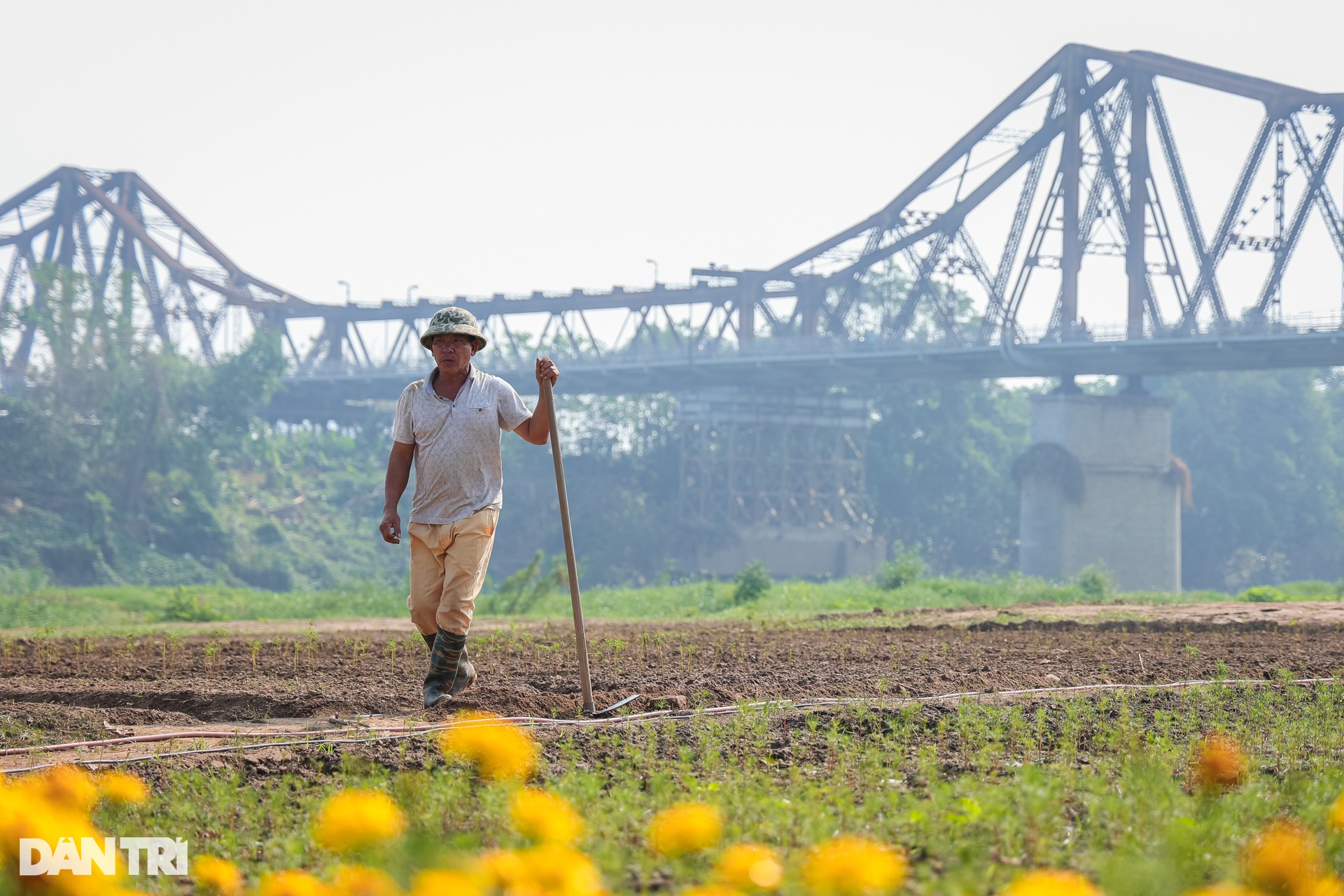 Dậy từ 3h, vượt 30km chụp ảnh sống ảo ở vườn hoa cúc chân cầu Long Biên - 12 Dậy từ 3h, vượt 30km chụp ảnh sống ảo ở vườn hoa cúc chân cầu Long Biên - 12