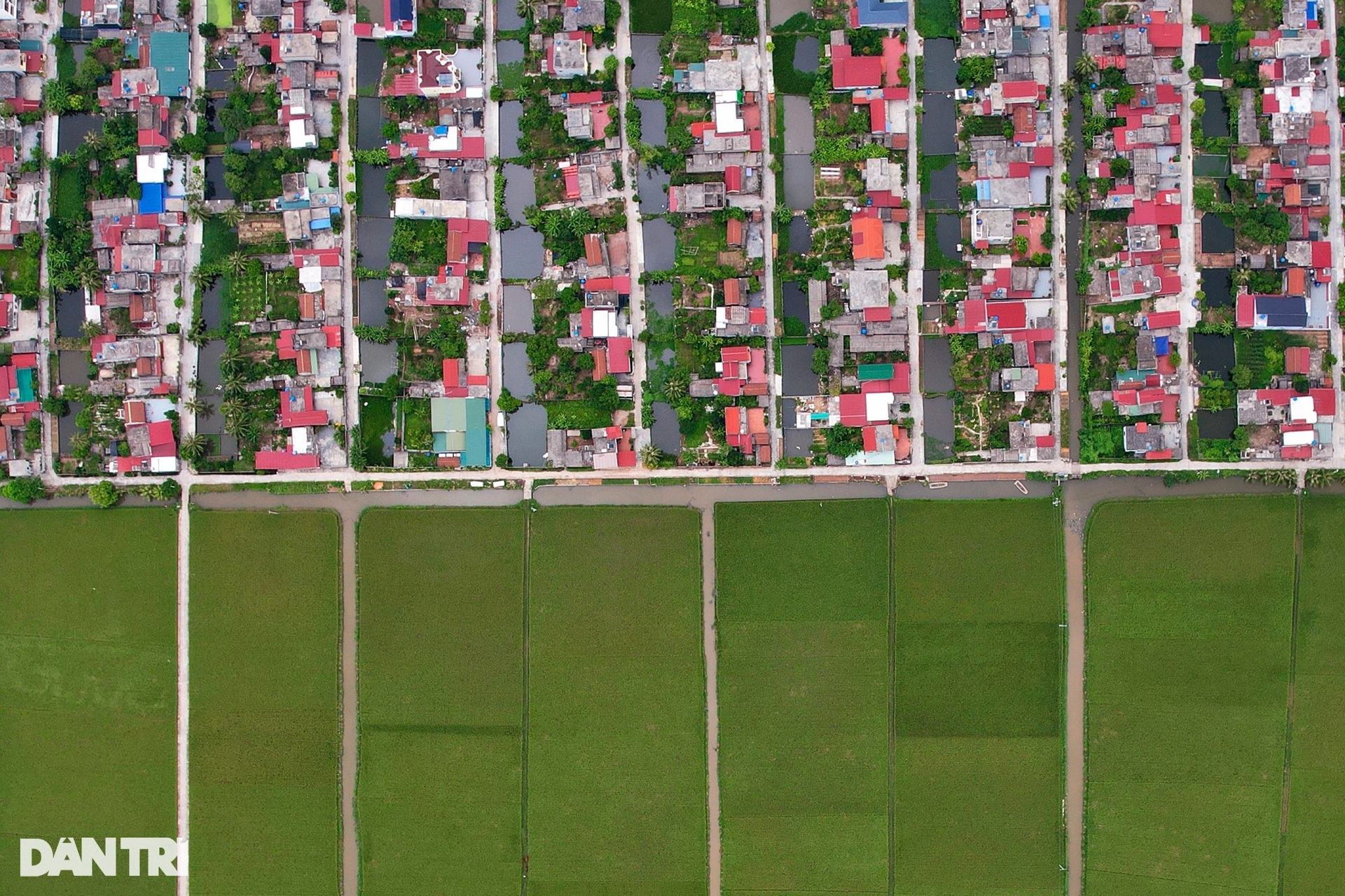 Những ngôi làng quy hoạch đẹp như bàn cờ ven biển Hải Phòng và Thái Bình - 15 Những ngôi làng quy hoạch đẹp như bàn cờ ven biển Hải Phòng và Thái Bình - 15