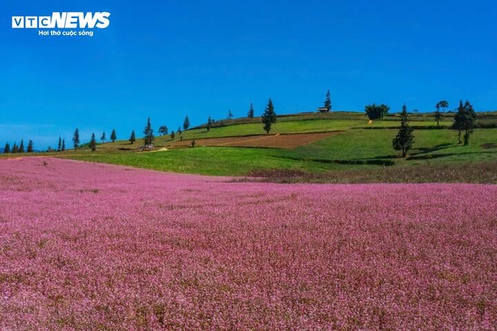 Nằm cách thị trấn Cốc Pài (huyện Xín Mần, tỉnh Hà Giang) khoảng 5 km, trên độ cao hơn 1.200 m so với mực nước biển, thảo nguyên Suôi Thầu là điểm đến hấp dẫn với du khách khi đặt chân đến phía Tây của tỉnh Hà Giang.