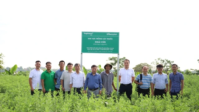Traphaco tiếp tục thành công với Đông dược cao cấp và Tân dược chất lượng cao Traphaco tiếp tục thành công với Đông dược cao cấp và Tân dược chất lượng cao