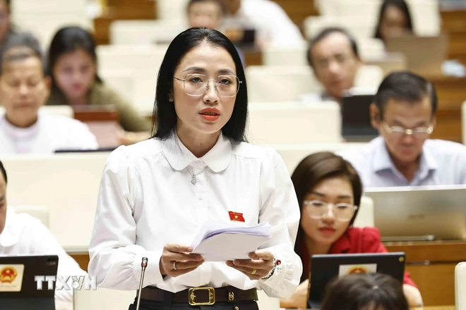 Đại biểu Quốc hội tỉnh Thái Bình Trần Khánh Thu phát biểu ý kiến. (Ảnh: Doãn Tấn/TTXVN) ttxvn_hop quoc hoi 4.jpg