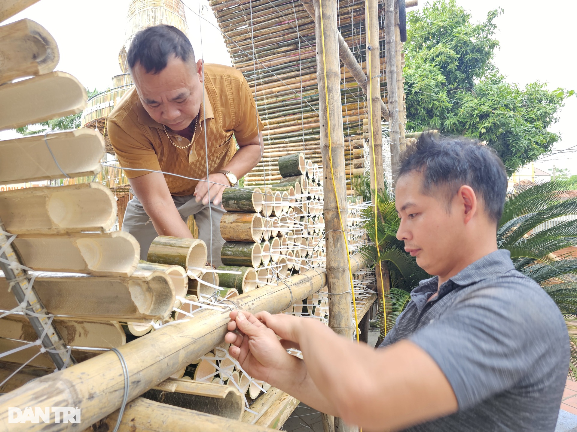 Độc đáo cây thông đón Giáng sinh làm từ 1.400 cây tre, nứa - 3 Độc đáo cây thông đón Giáng sinh làm từ 1.400 cây tre, nứa - 3