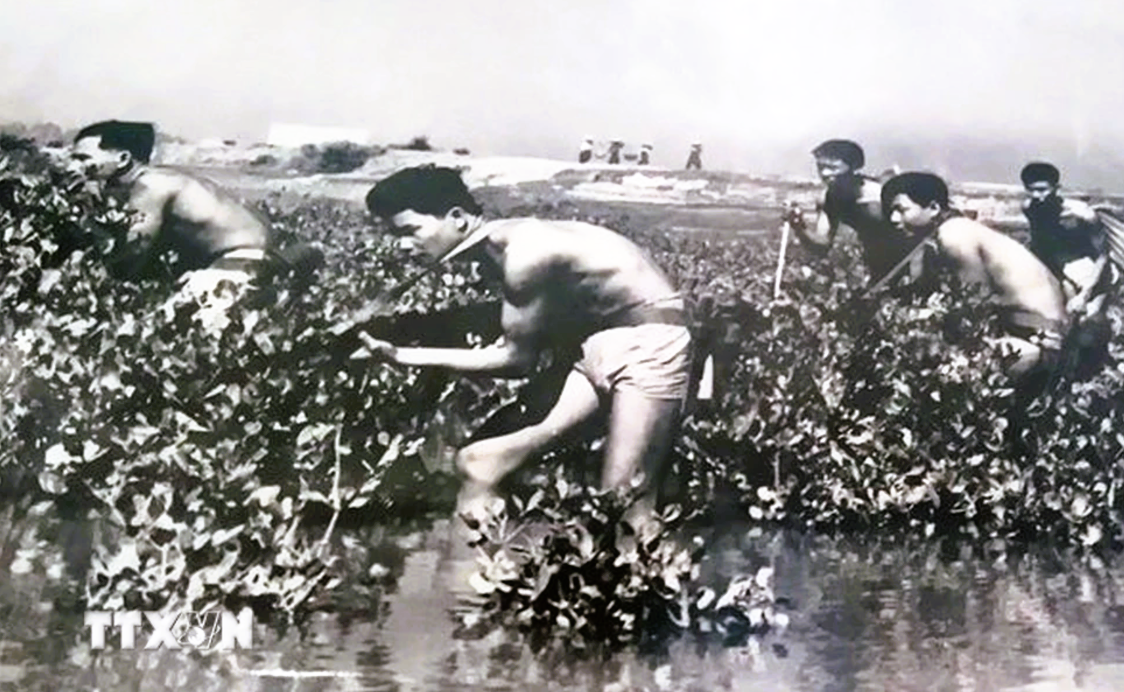 Bộ đội đặc công - Kỳ 2: Anh hùng đặc công nước- Ảnh 5. Bộ đội đặc công - Kỳ 2: Anh hùng đặc công nước- Ảnh 5.