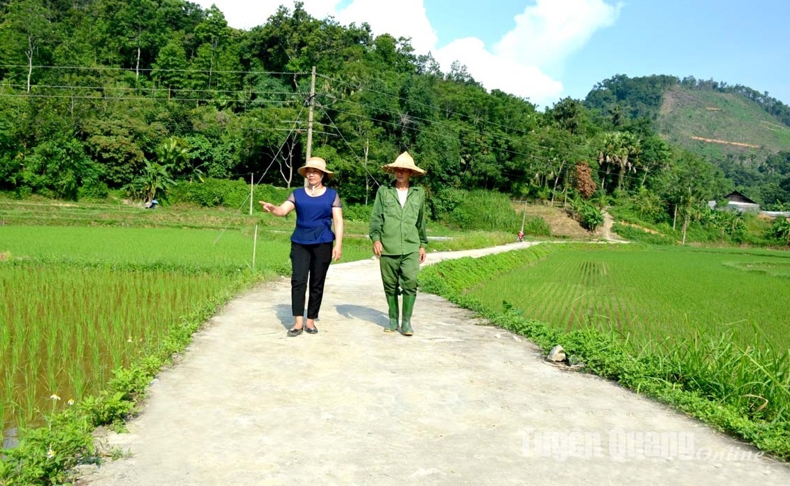Nhiều diện tích đất canh tác được bố trí để thi công các công trình phục vụ sản xuất, sinh hoạt. (Trong ảnh: Tuyến đường nội đồng Nà Bó Phẻn, thuộc thôn Nà kham, xã Năng Khả, huyện Na Hang, tỉnh Tuyên Quang) Nhiều diện tích đất canh tác được bố trí để thi công các công trình phục vụ sản xuất, sinh hoạt. (Trong ảnh: Tuyến đường nội đồng Nà Bó Phẻn, thuộc thôn Nà kham, xã Năng Khả, huyện Na Hang, tỉnh Tuyên Quang)