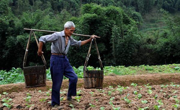 Bố chồng 85 tuổi vẫn mang đồ ăn đến tận nhà cho con cháu: Thấy thứ rơi ra từ bên trong túi, tôi bật khóc - Ảnh 4. Bố chồng 85 tuổi vẫn mang đồ ăn đến tận nhà cho con cháu: Thấy thứ rơi ra từ bên trong túi, tôi bật khóc - Ảnh 4.