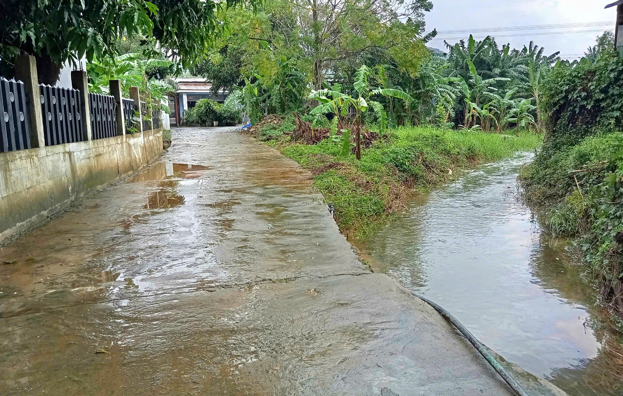 Đà Nẵng: Sau vỡ đập, dân kêu trời vì cứ mưa là ngập- Ảnh 2. Đà Nẵng: Sau vỡ đập, dân kêu trời vì cứ mưa là ngập- Ảnh 2.