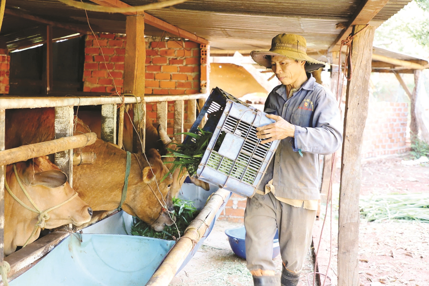 Thực hiện các chương trình, chính sách, dự án, đồng bào DTTS được hỗ trợ phát triển kinh tế Thực hiện các chương trình, chính sách, dự án, đồng bào DTTS được hỗ trợ phát triển kinh tế