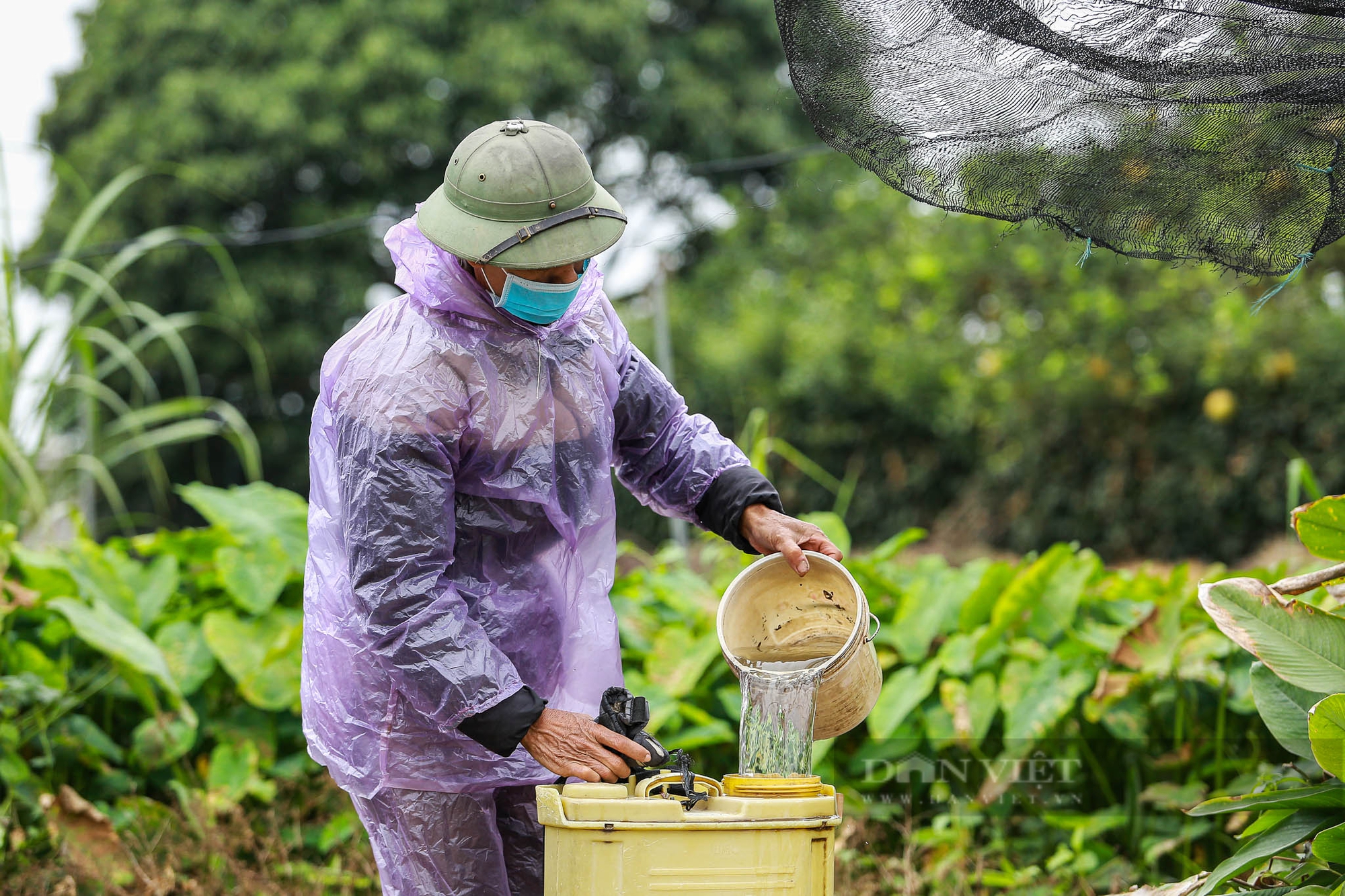 Nông dân Hà Nội trùm khăn kín mít, mặc áo mưa ra đồng làm việc dưới cái lạnh chỉ 15 độ C- Ảnh 5. Nông dân Hà Nội trùm khăn kín mít, mặc áo mưa ra đồng làm việc dưới cái lạnh chỉ 15 độ C- Ảnh 5.