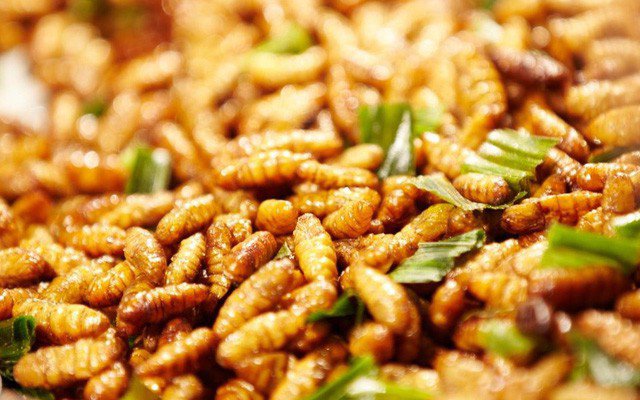 Những ẩm thực nên tăng cường trong tiết Đại Tuyết 2024 vừa nâng cao sức khỏe lại tăng tài vận- Ảnh 9. Những ẩm thực nên tăng cường trong tiết Đại Tuyết 2024 vừa nâng cao sức khỏe lại tăng tài vận- Ảnh 9.