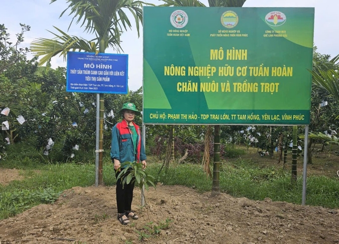 vp3-143613_222.jpg Mô hình nông nghiệp hữu cơ tuần hoàn ở huyện Yên Lạc. Ảnh: Hoàng Anh.