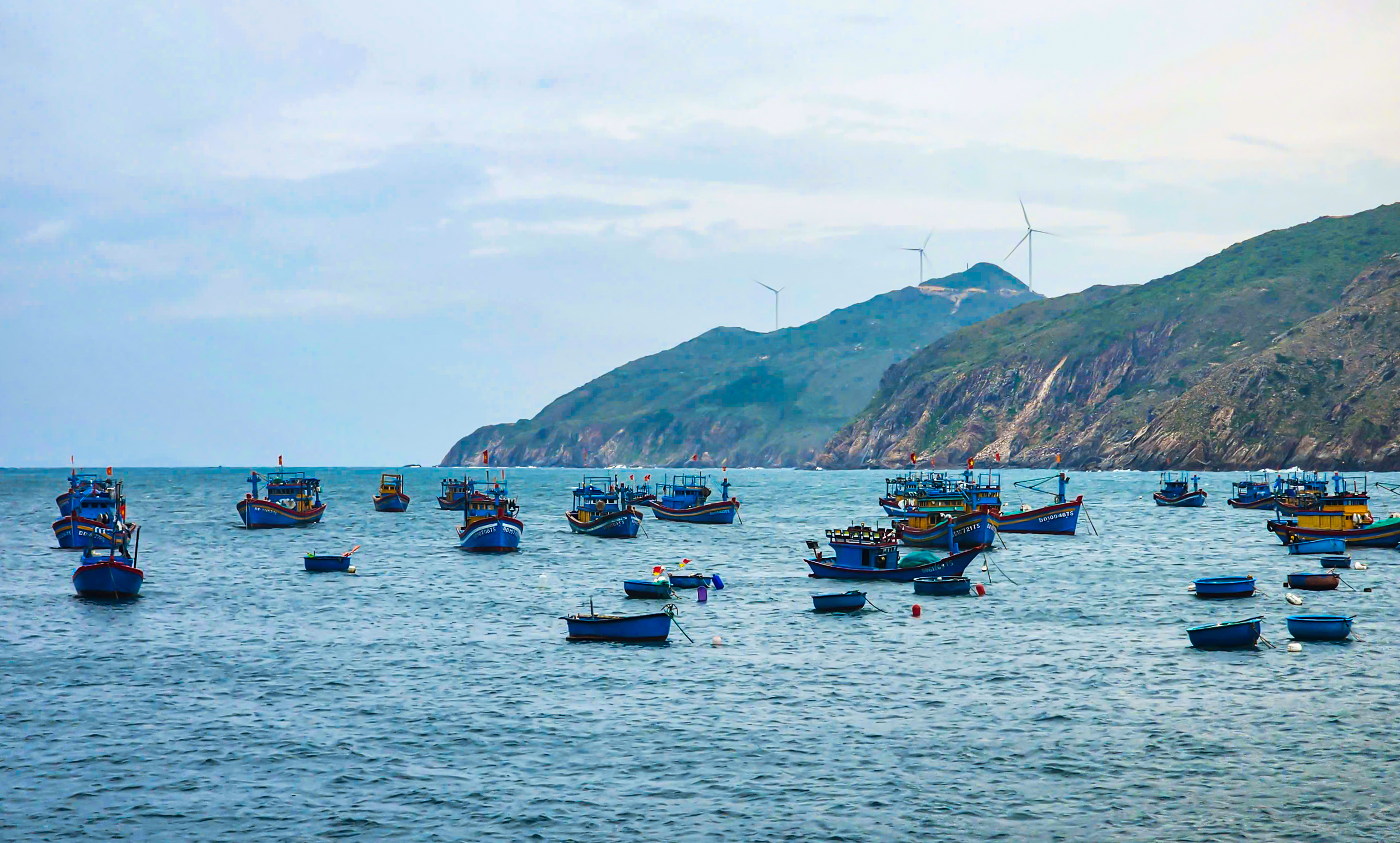 Lễ hội cầu ngư ở Bình Định là di sản văn hóa phi vật thể quốc gia- Ảnh 2. Lễ hội cầu ngư ở Bình Định là di sản văn hóa phi vật thể quốc gia- Ảnh 2.