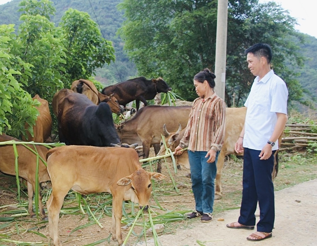 Ông Lò Văn Phới - Người uy tín bản Suối Tăng, xã Mường Khoa tuyên truyền nhân dân trong bản tích cực phát triển nuôi gia súc Ông Lò Văn Phới - Người uy tín bản Suối Tăng, xã Mường Khoa, huyện Bắc Yên (Sơn La) tuyên truyền nhân dân trong bản tích cực phát triển nuôi gia súc