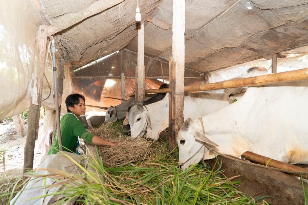 Nguồn vốn tín dụng chính sách xã hội đã góp phần tích cực trong công tác giảm nghèo, giải quyết việc làm, đảm bảo an sinh xã hội và xây dựng nông thôn mới, góp phần ngăn chặn “tín dụng đen” trên địa bàn tỉnh An Giang Nguồn vốn tín dụng chính sách xã hội đã góp phần tích cực trong công tác giảm nghèo, giải quyết việc làm, đảm bảo an sinh xã hội và xây dựng nông thôn mới, góp phần ngăn chặn “tín dụng đen” trên địa bàn tỉnh An Giang