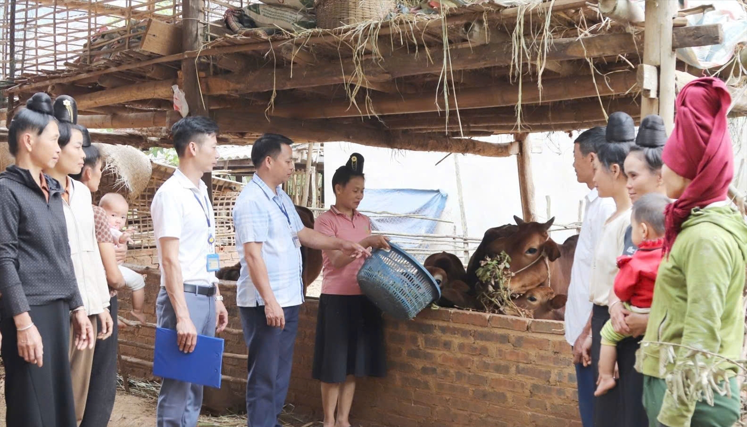 Cán bộ xã Bon Phặng, huyện Thuận Châu (Sơn La) tuyên truyền nhân dân xây chuồng trại kiên cố, nuôi gia súc nhốt chuồng Cán bộ xã Bon Phặng, huyện Thuận Châu (Sơn La) tuyên truyền nhân dân xây chuồng trại kiên cố, nuôi gia súc nhốt chuồng