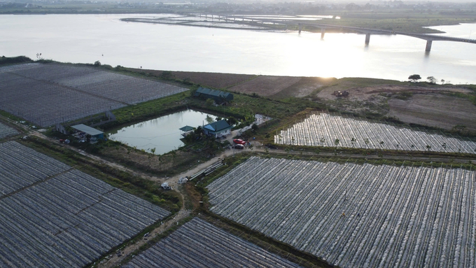 htx-thanh-vinh-121043_959.jpg Khai thác tối đa tiềm năng của đất là điều Hợp tác xã Thành Vinh đang làm rất tốt. Ảnh: Việt Khánh.