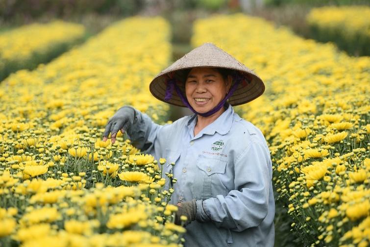 Hòa Minzy, Đức Phúc hội ngộ tại khai mạc lễ hội hoa Mê Linh cuối tháng này - Ảnh 3. Hòa Minzy, Đức Phúc hội ngộ tại khai mạc lễ hội hoa Mê Linh cuối tháng này - Ảnh 3.