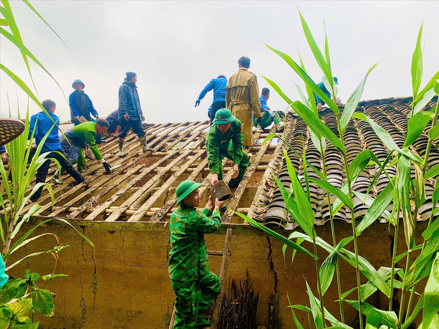Các lực lượng và nhân dân tại tỉnh tham gia hỗ trợ ngày công trong xóa nhà tạm, nhà dột nát Các lực lượng và nhân dân tại tỉnh tham gia hỗ trợ ngày công trong xóa nhà tạm, nhà dột nát