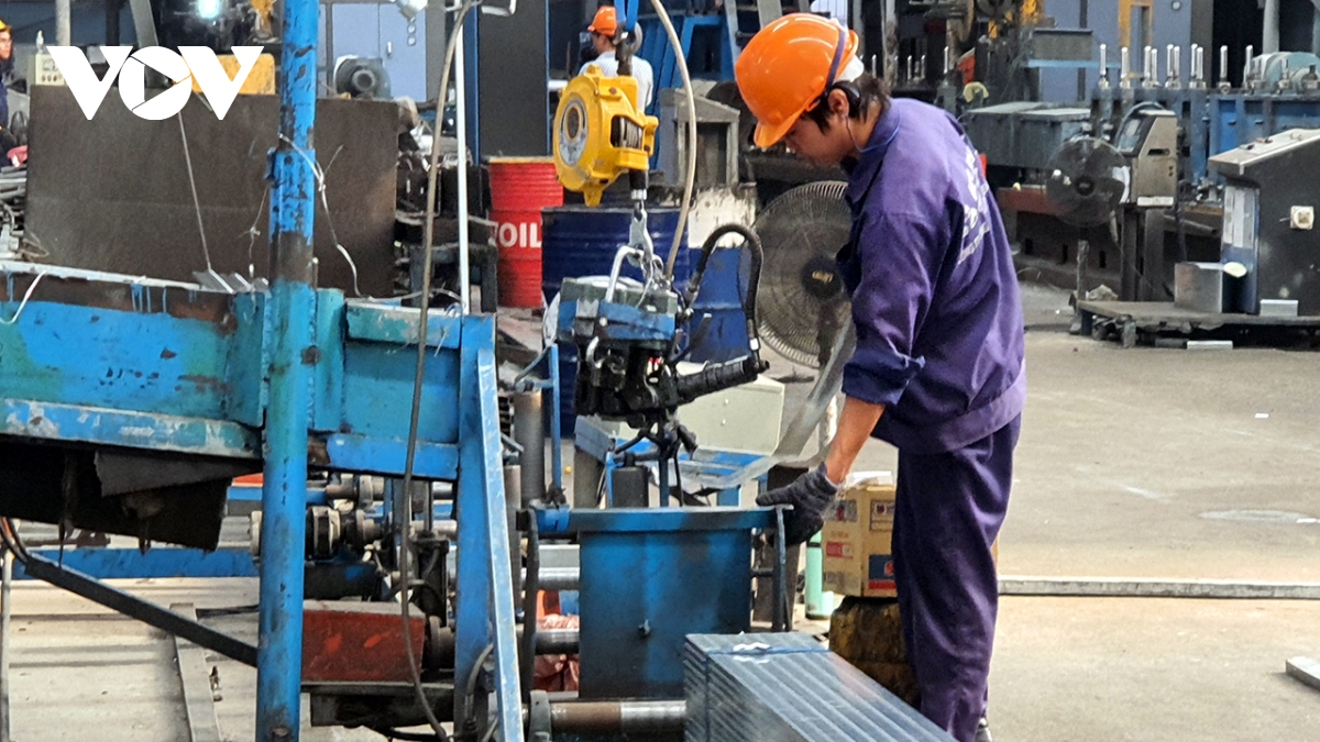 công nghiệp cơ khí vẫn còn lẹt đẹt khi thiếu vai trò của sếu đầu đàn hình ảnh 2 cong nghiep co khi van con let det khi thieu vai tro cua seu dau dan hinh anh 2