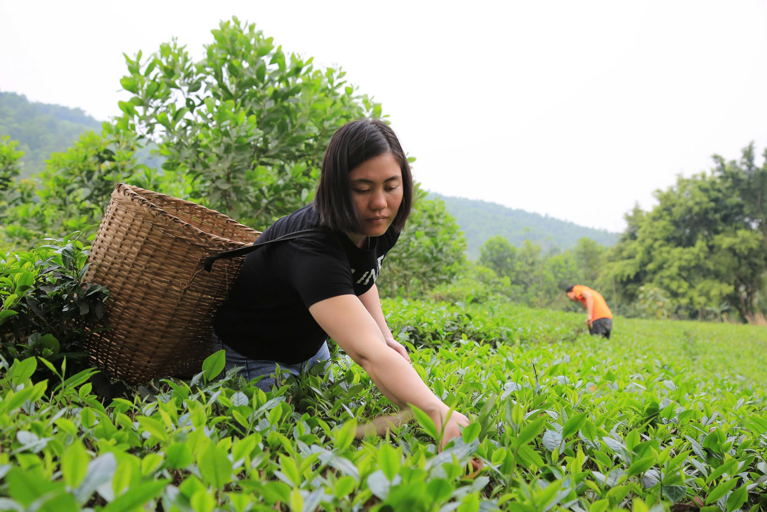 TYM đạt 2 giải thưởng trong Liên hoan phim cộng đồng Quốc tế- Ảnh 2. TYM đạt 2 giải thưởng trong Liên hoan phim cộng đồng Quốc tế- Ảnh 2.