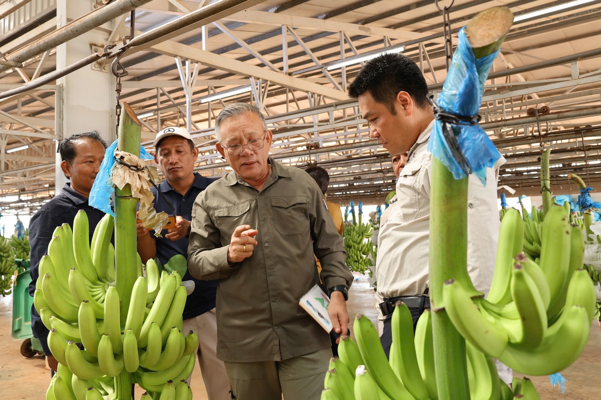 Ngài Hean Vanhorn thăm quan Xưởng đóng gói Xí nghiệp Chuối DP2 3