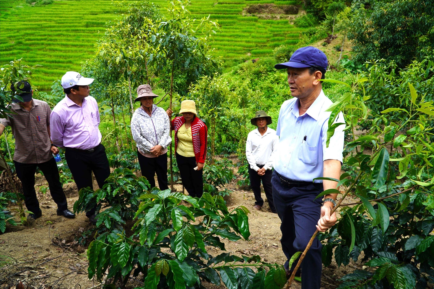 Bí thư Tỉnh ủy Kon Tum Dương Văn Trang (ngoài cùng bên phải) thường xuyên xuống từng thôn kiểm tra công tác giúp đỡ các hộ đồng bào DTTS ở xã Mường Hoong và xã Ngọc Linh phát triển sản xuất Bí thư Tỉnh ủy Kon Tum Dương Văn Trang (ngoài cùng bên phải) thường xuyên xuống từng thôn kiểm tra công tác giúp đỡ các hộ đồng bào DTTS ở xã Mường Hoong và xã Ngọc Linh phát triển sản xuất