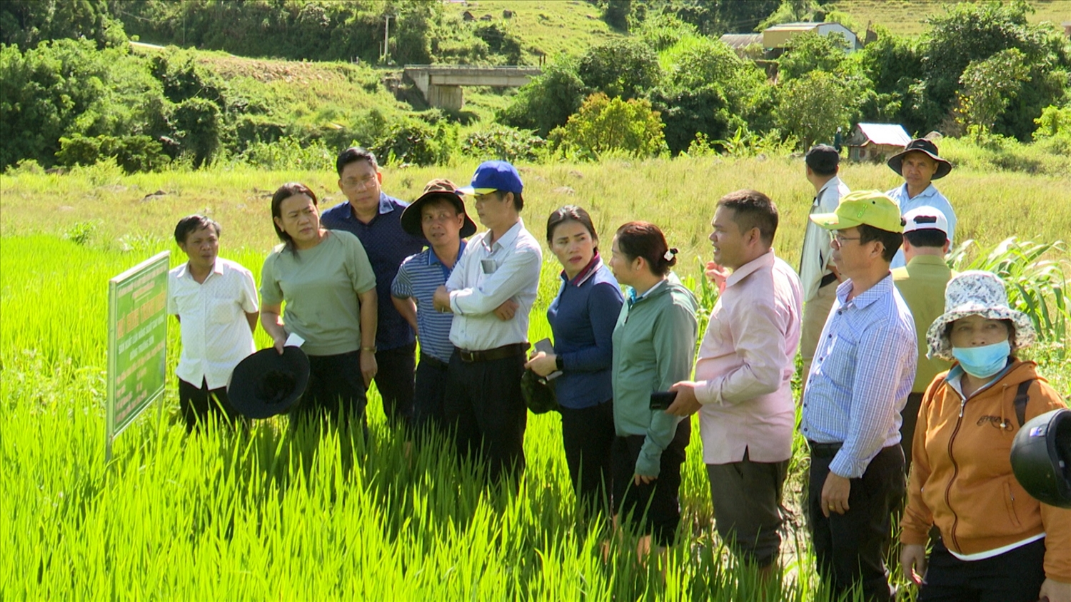 Các thành viên Tổ 262 kiểm tra mô hình hỗ trợ đồng bào DTTS ở xã Mường Hoong, xã Ngọc Linh trồng lúa nước 2 vụ Các thành viên Tổ công tác 262 kiểm tra mô hình hỗ trợ đồng bào DTTS ở xã Mường Hoong, xã Ngọc Linh trồng lúa nước 2 vụ