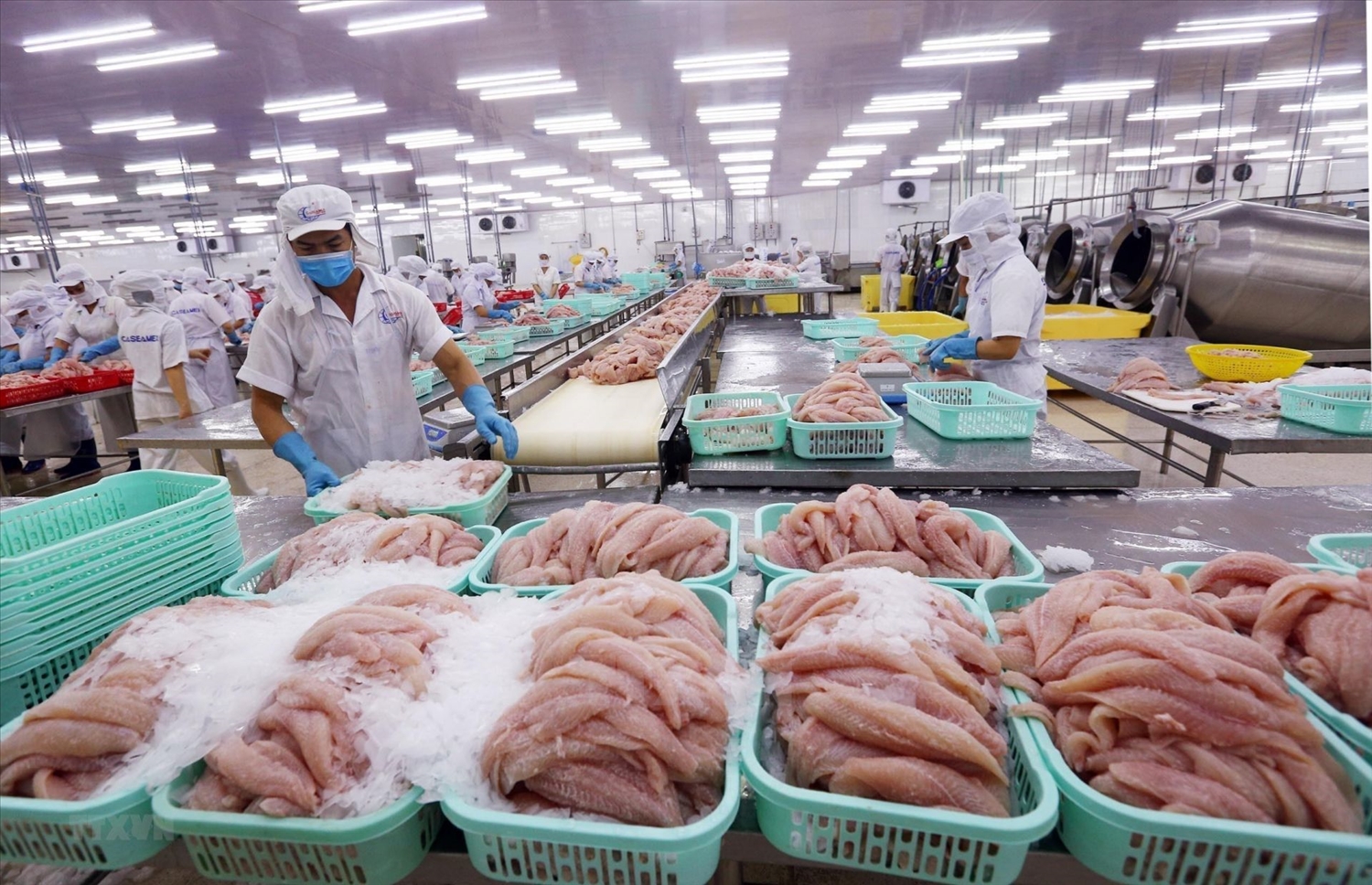 Xuất khẩu thủy sản tăng 12,7% so với năm 2023 (Ảnh IT) Xuất khẩu thủy sản tăng 12,7% so với năm 2023 (Ảnh IT)