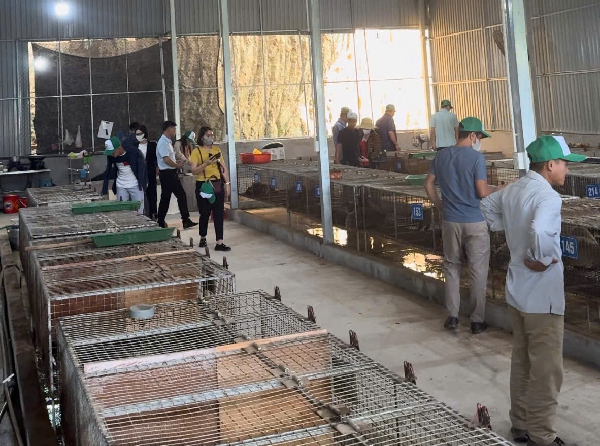 Đoàn thăm quan cơ sở chăn nuôi động vật hoang dã hợp pháp tại gia đình ông Nguyễn Hoàng Tú, thôn Cây Thị, xã Hợp Thành, huyện Sơn Dương, tỉnh Tuyên Quang Đoàn thăm quan cơ sở chăn nuôi động vật hoang dã hợp pháp tại gia đình ông Nguyễn Hoàng Tú, thôn Cây Thị, xã Hợp Thành, huyện Sơn Dương, tỉnh Tuyên Quang