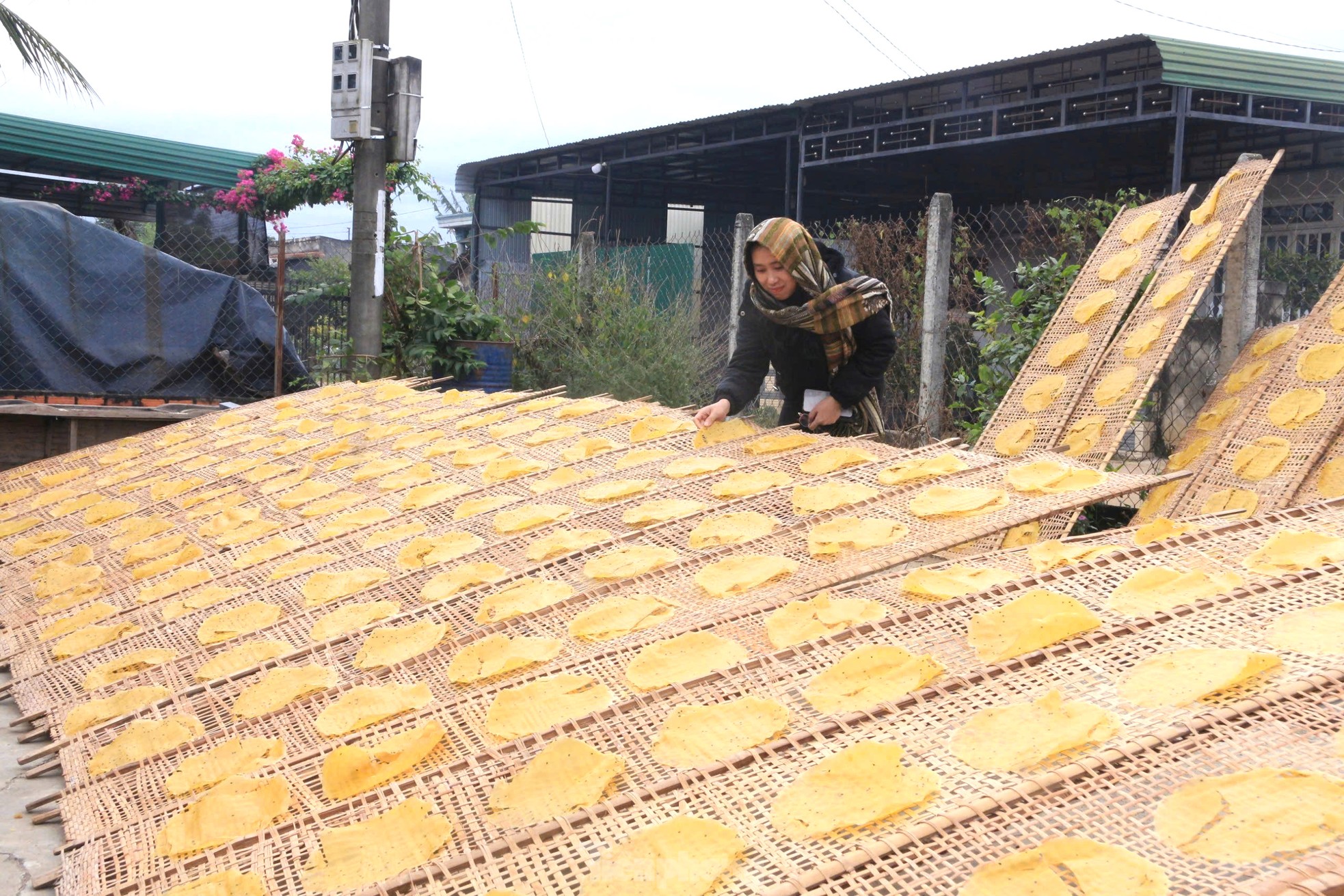 Làng nghề bánh tráng ở Đắk Lắk tất bật chạy đua với Tết ảnh 11