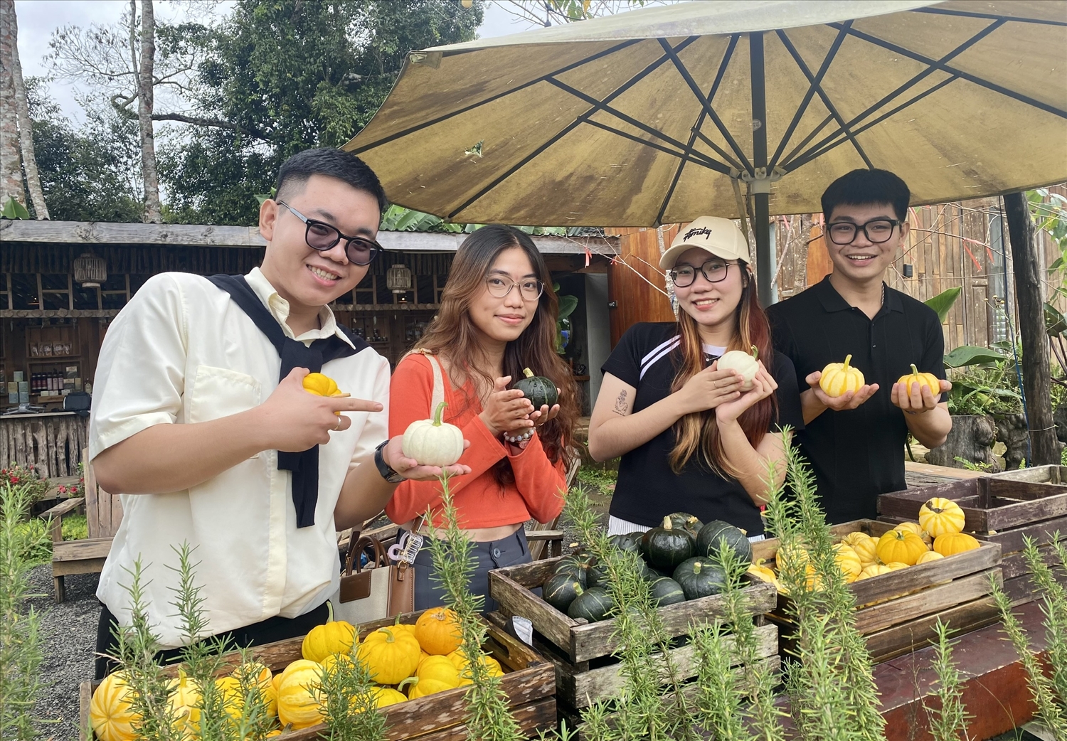 Các bạn trẻ thích thú khi được thăm quan và tự tay hái các loại rau, củ, quả ở các Farm làm du lịch Các bạn trẻ thích thú khi được thăm quan và tự tay hái các loại rau, củ, quả ở các Farm làm du lịch