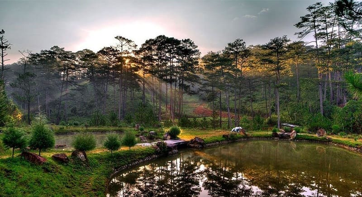 Loài cây quý hiếm ở Việt Nam, thế giới không nơi nào có - Hình 8 Loai cay quy hiem o Viet Nam, the gioi khong noi nao co-Hinh-8